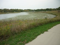 Lake Anita