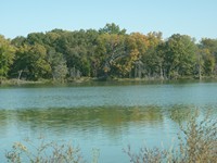 Lake Darling